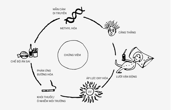 Trị gàu hiệu quả cùng với sản phẩm Davines được nhập từ Ý
