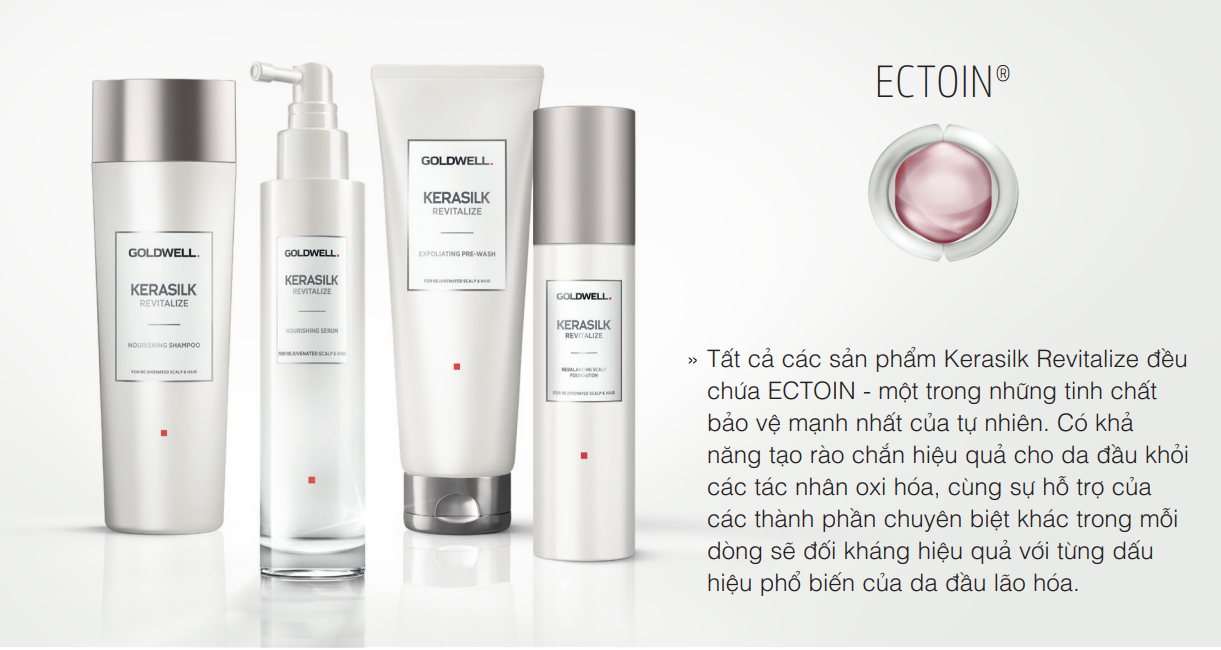 GIỚI THIỆU DÒNG SẢN PHẨM CHĂM SÓC TÓC DÀNH CHO DA ĐẦU CỦA GOLDWELL