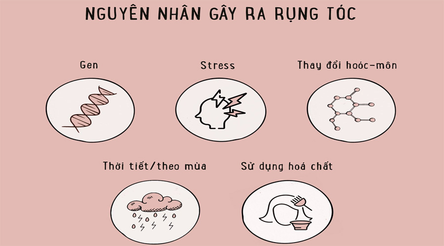 ENERGIZING GIẢI PHÁP TỐI ƯU CHO CÁC VẤN ĐỀ RỤNG TÓC