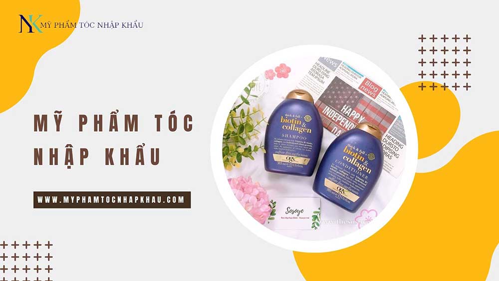 Review chi tiết bộ dầu gội Biotin