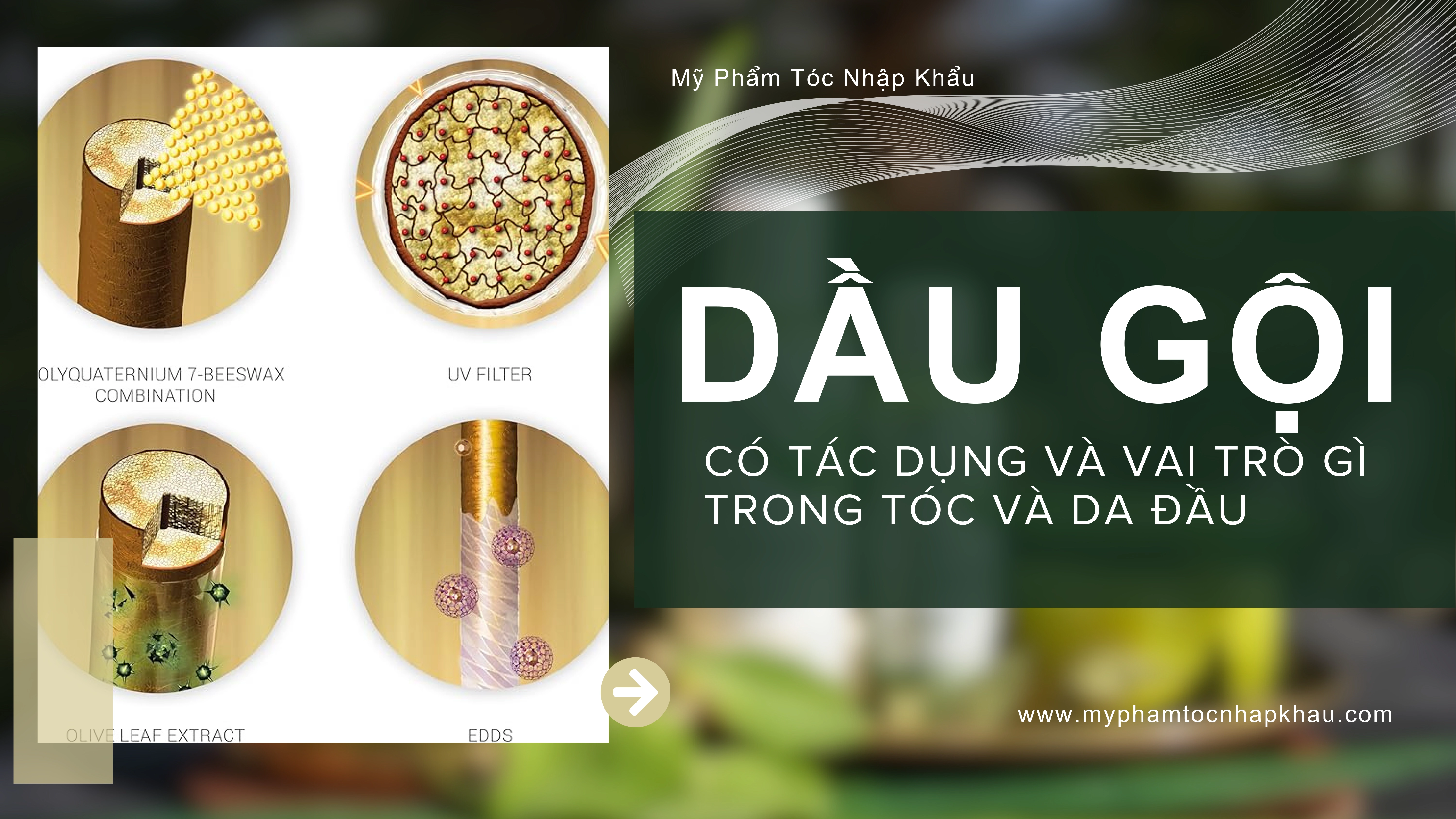 DẦU GỘI CÓ TÁC DỤNG VÀ VAI TRÒ GÌ TRONG TÓC VÀ DA ĐẦU