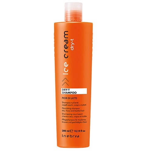 DẦU GỘI DÀNH CHO TÓC KHÔ RỐI INEBRYA FOR DRY 300ML