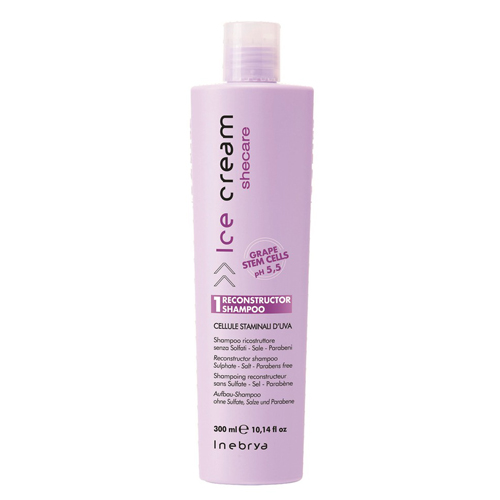 DẦU GỘI PHỤC HỒI TÓC HƯ TỔN INEBRYA RECONSTRUCTOR 300ML