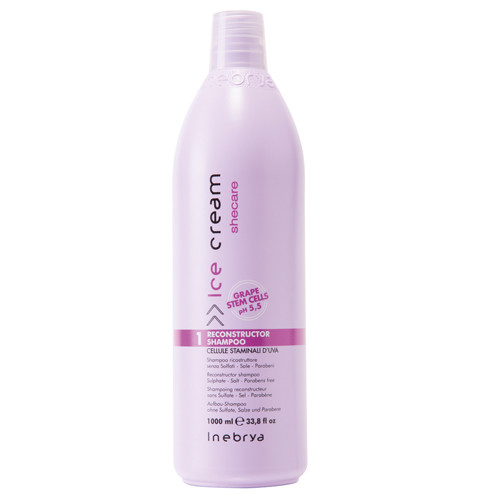 DẦU GỘI PHỤC HỒI TÓC HƯ TỔN INEBRYA RECONSTRUCTOR 1000ML