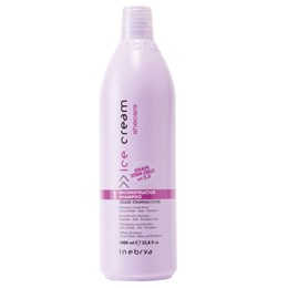 DẦU GỘI PHỤC HỒI TÓC HƯ TỔN INEBRYA RECONSTRUCTOR 1000ML