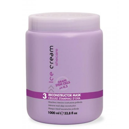 HẤP DẦU PHỤC HỒI TÓC HƯ TỔN INEBRYA RECONSTRUCTOR MASK 1000ML