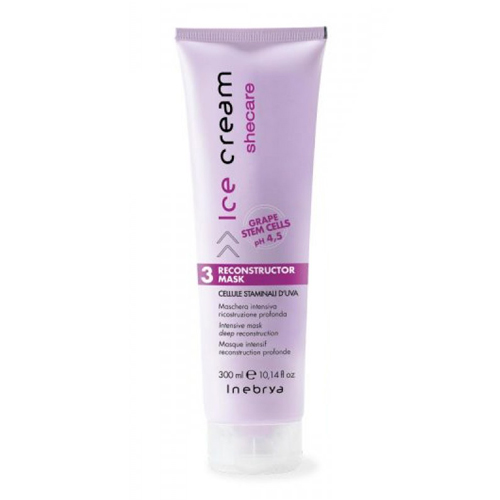 HẤP DẦU PHỤC HỒI TÓC HƯ TỔN INEBRYA RECONSTRUCTOR MASK 300ML