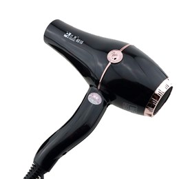 MÁY SẤY TÓC CF-6010