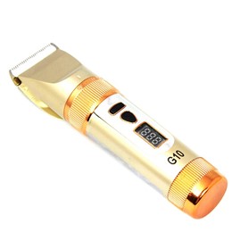 TÔNG ĐƠ HỚT TÓC G-10