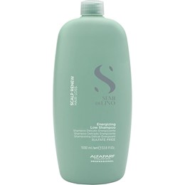 DẦU GỘI ALFAPARF RENEW ENERGIZING CHỐNG RỤNG & KÍCH THÍCH MỌC TÓC 1000ML