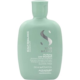DẦU GỘI ALFAPARF THANH KHIẾT ĐẶC TRỊ GÀU PURIFYING 250ML