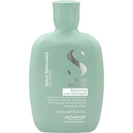 DẦU GỘI ALFAPARF REBALANCE CÂN BẰNG ĐẶC TRỊ TÓC DẦU 250ML