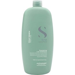 DẦU GỘI ALFAPARF RENEW ENERGIZING HỖ TRỢ CHỐNG RỤNG & KÍCH THÍCH MỌC TÓC 1000ML
