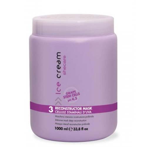HẤP DẦU PHỤC HỒI TÓC HƯ TỔN INEBRYA RECONSTRUCTOR MASK 1000ML