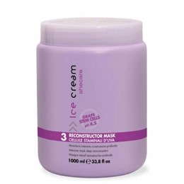HẤP DẦU PHỤC HỒI TÓC HƯ TỔN INEBRYA RECONSTRUCTOR MASK 1000ML