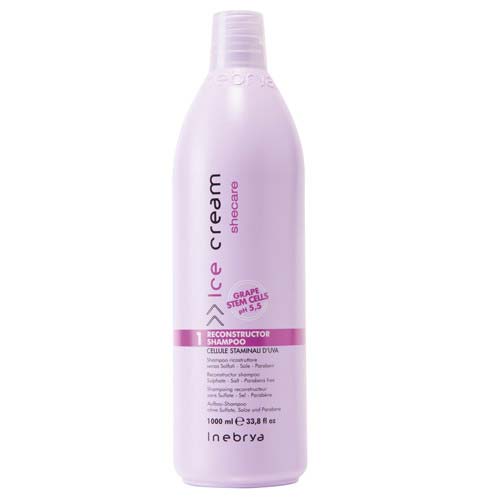 DẦU GỘI PHỤC HỒI TÓC HƯ TỔN INEBRYA RECONSTRUCTOR 1000ML