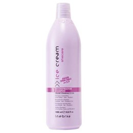 DẦU GỘI PHỤC HỒI TÓC HƯ TỔN INEBRYA RECONSTRUCTOR 1000ML