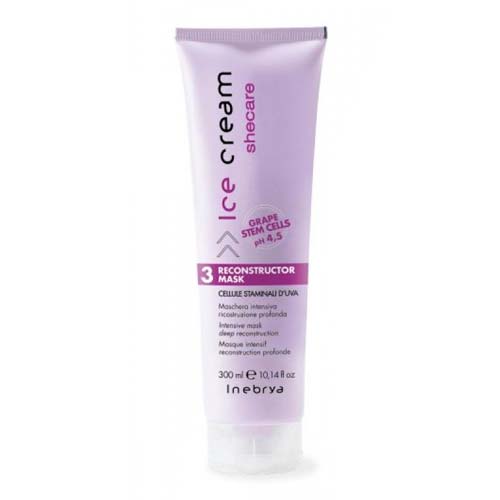 HẤP DẦU PHỤC HỒI TÓC HƯ TỔN INEBRYA RECONSTRUCTOR MASK 300ML