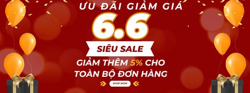SALE 6.6